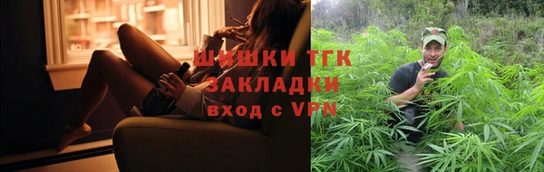 прущие грибы Баксан