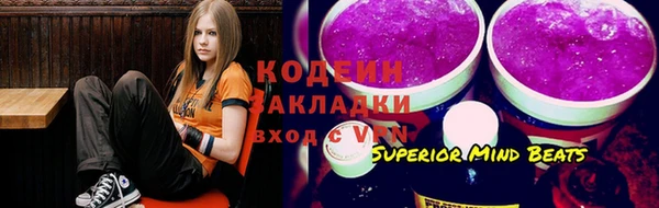 прущие грибы Баксан