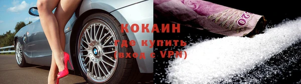 прущие грибы Баксан