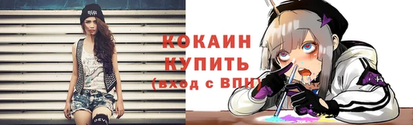 прущие грибы Баксан