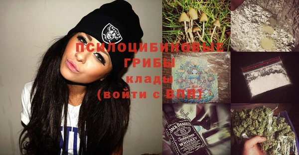 прущие грибы Баксан
