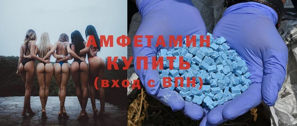 прущие грибы Баксан